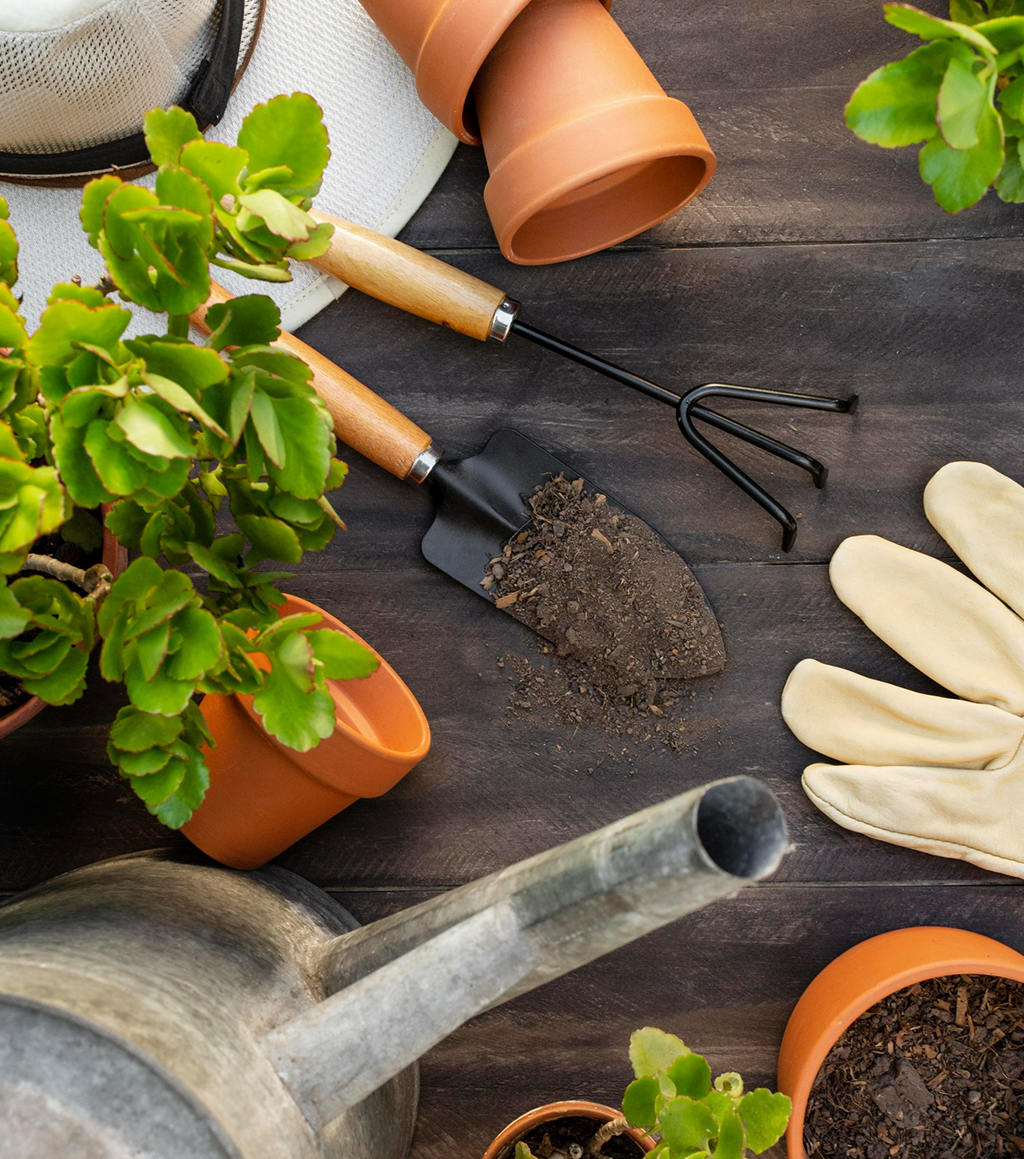 Pourquoi confier vos travaux de jardinage à BienImmo
